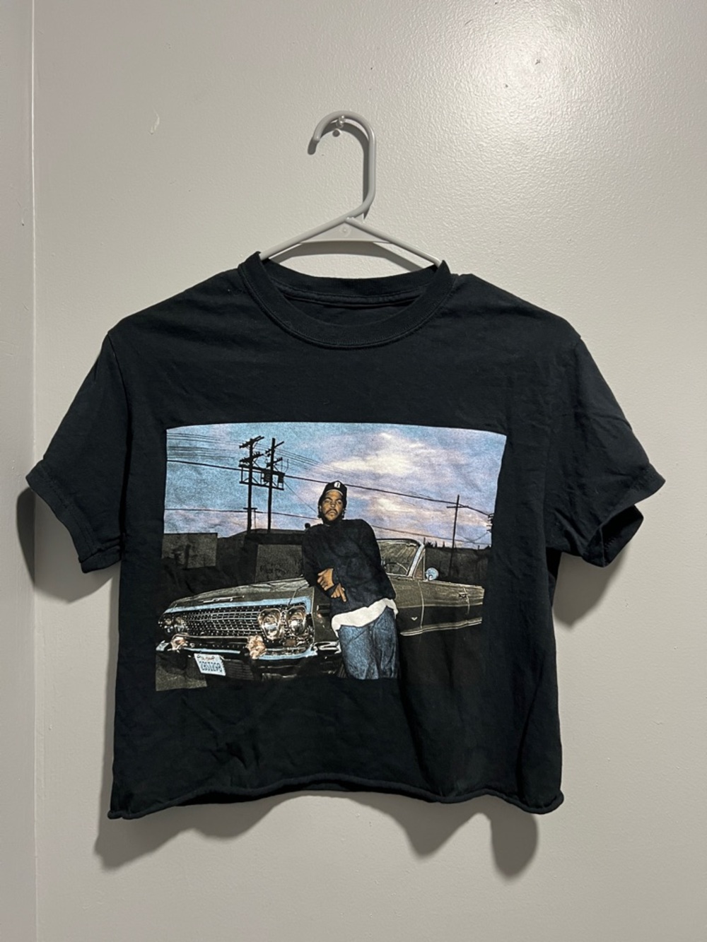 Ice Cube Crop Top